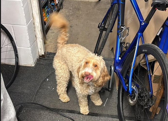 Milo